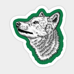 Wolf - ink illustration Sticker